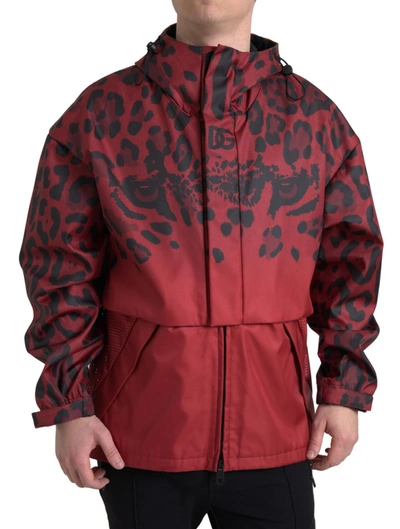 Shop Dolce & Gabbana Red Leopard Hooded Rain Coat Jacket