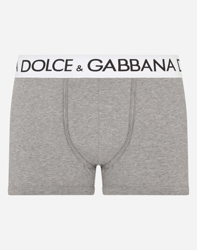 Dolce & Gabbana Logo-waistband Stretch Briefs In グレー