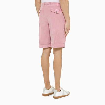 Shop Pt Torino Pink Velvet Bermuda Pants