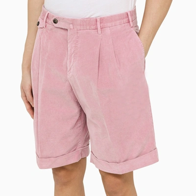 Shop Pt Torino Pink Velvet Bermuda Pants