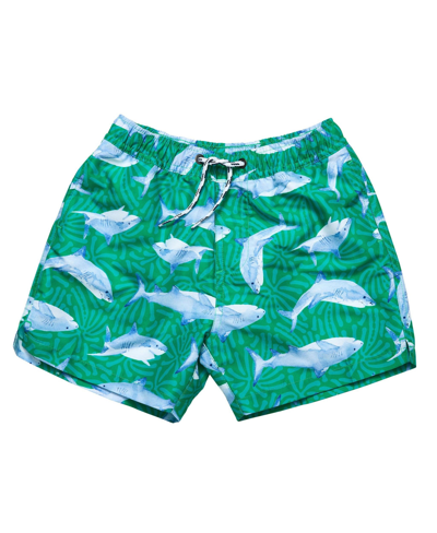 Shop Snapper Rock Reef Shark Swim Short In Green