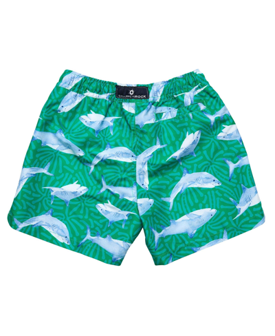 Shop Snapper Rock Reef Shark Swim Short In Green