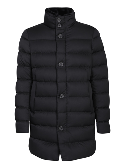 Shop Herno Padded Black Coat