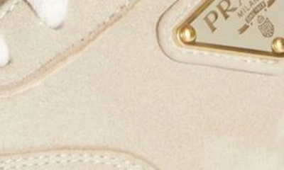 Shop Prada Triangle Logo Low Top Sneaker In Light Beige