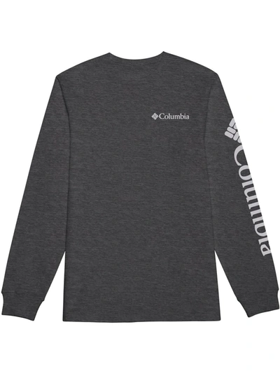 Shop Columbia Sportswear Fundamentals Mens Cotton Logo T-shirt In Grey
