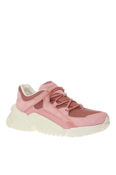 Shop Ferragamo Salvatore  Skylar Women's 726300 Desert Rose Sneaker In Pink