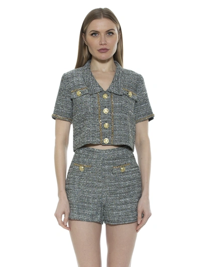 Alexia Admor Justina Tweed High Waist Shorts In Multi