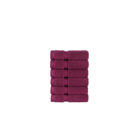 Chortex Usa Alexis Antimicrobial Irvington Washcloth (pack Of 6)