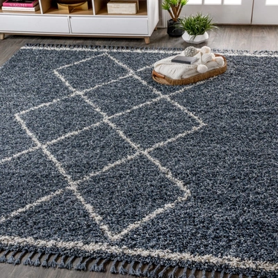 Jonathan Y Mercer Shag Plush Tassel Moroccan Tribal Geometric Trellis Area Rug