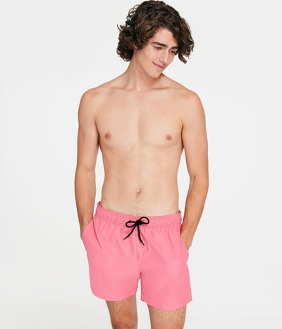 Shop Aéropostale Solid Swim Trunks 5.5" In Pink