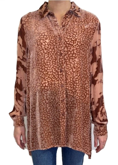 Johnny Was Audrey Button Down Shirt In Burnt Sienna In Brown