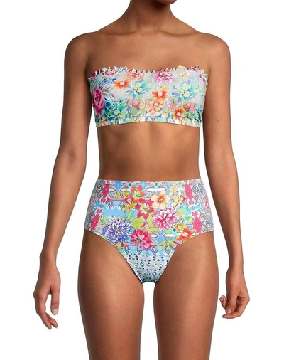 Johnny Was Pearce Bandeau Bikini Top In Multi