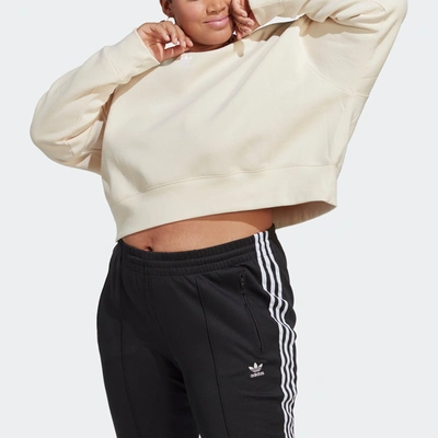 Shop Adidas Originals Women's Adidas Adicolor Essentials Crew Sweatshirt (plus Size) In Multi