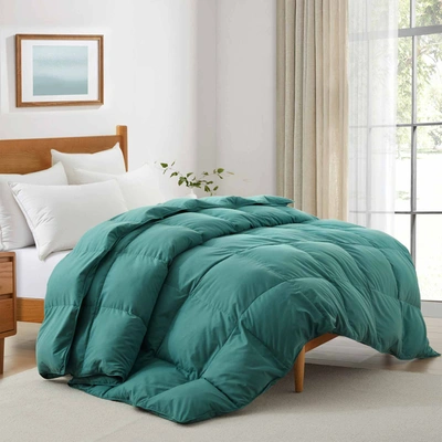 Shop Puredown Ultra Soft Fabric All Season Premium Feather Fiber And Microfiber Comforter With 360tc, Green