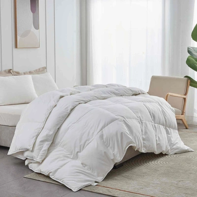 Shop Puredown Ultra Soft Fabric All Season Premium Feather Fiber And Microfiber Comforter With 360tc, White