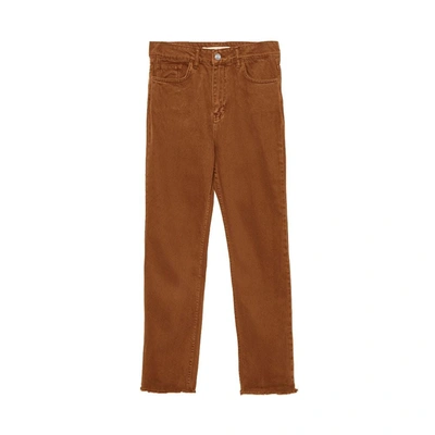 Shop Hinnominate Brown Cotton Jeans & Pant