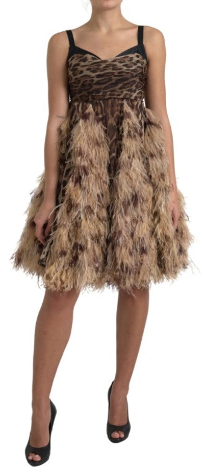 Shop Dolce & Gabbana Brown Leopard Feather Chiffon Sleeveless Dress