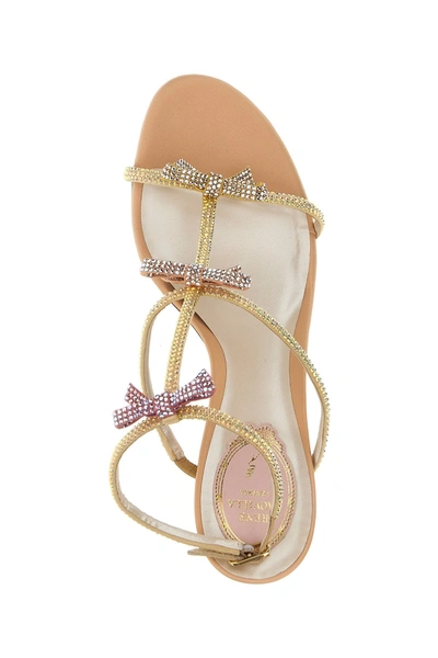 Shop René Caovilla Women 'catherina' Sandals In Pink