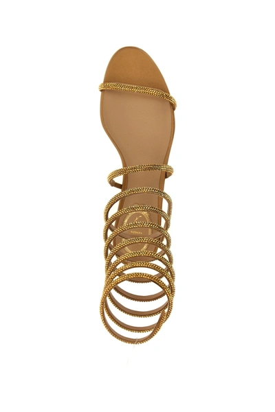 Shop René Caovilla Women 'supercleo' Sandals In Gold
