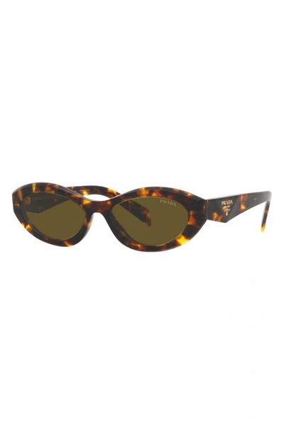 Shop Prada 55mm Irregular Sunglasses In Dark Brown