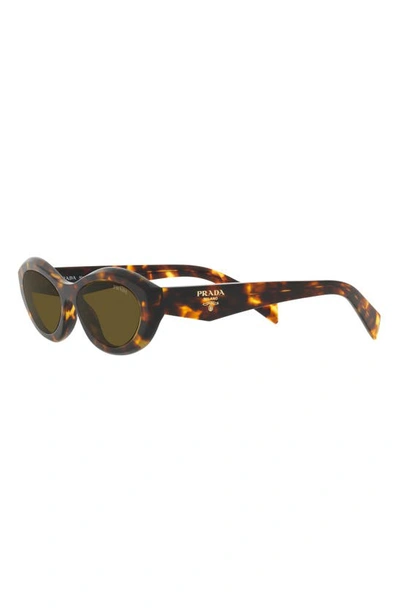 Shop Prada 55mm Irregular Sunglasses In Dark Brown