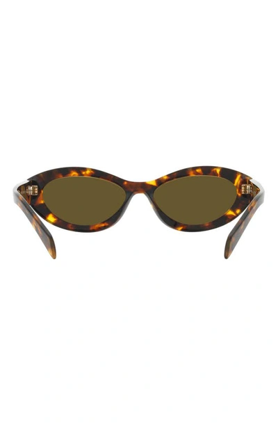 Shop Prada 55mm Irregular Sunglasses In Dark Brown