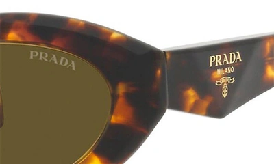 Shop Prada 55mm Irregular Sunglasses In Dark Brown