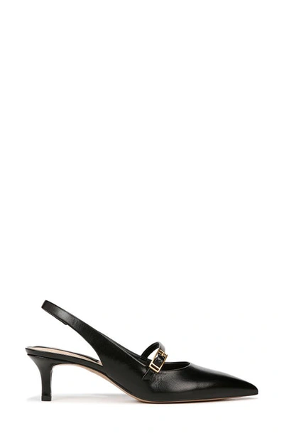 Shop Franco Sarto Khloe Pointed Toe Kitten Heel Pump In Black