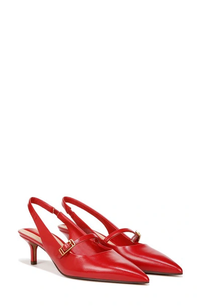 Shop Franco Sarto Khloe Pointed Toe Kitten Heel Pump In Red