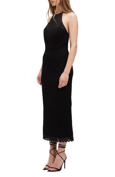 Bardot Chameleon Lace Halter Midi Dress In Black