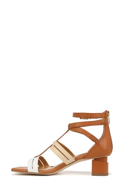 Shop Franco Sarto Korie Gladiator Sandal In Tan Multi