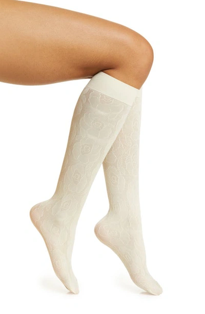 Shop High Heel Jungle Maria Floral Lace Knee High Socks In Ivory
