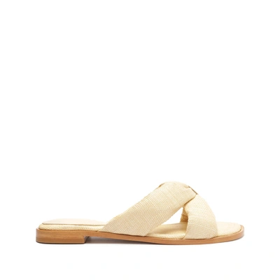 Shop Schutz Fairy Casual Leather Sandal In Eggshell