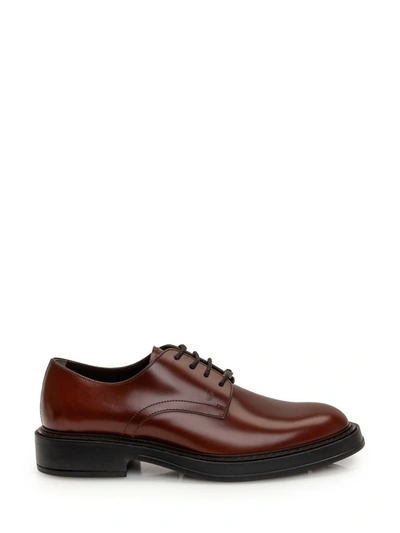 Shop Tod's Laced Derby Passal In Brown