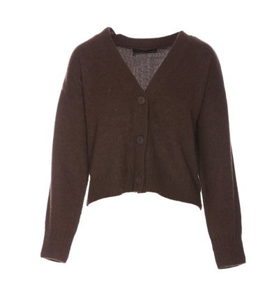 Shop 360cashmere Brushed In Brown