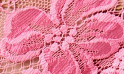 Shop Free People Sorento Lace Bikini In Lucky Pink