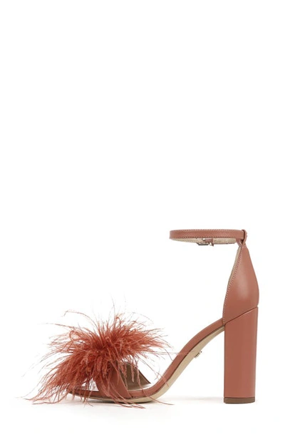 Shop Sam Edelman Yaro Feather Sandal In Sienna Rose