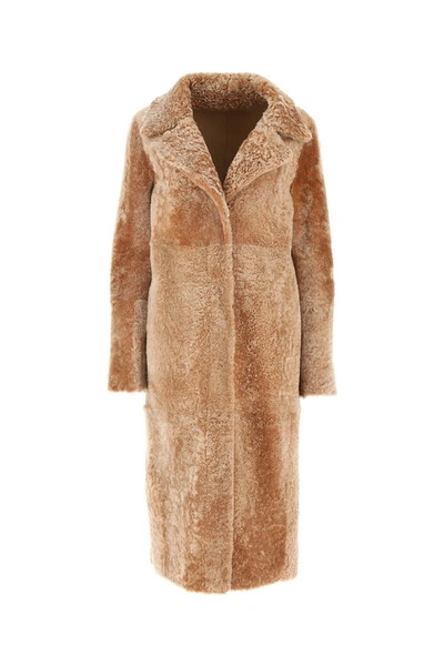 Shop Drome Furs In B225