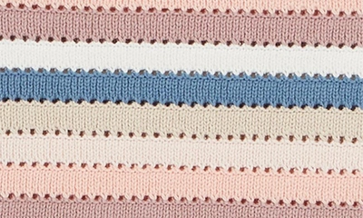 Shop Design History Stripe Pointelle Cotton Knit Tank Top In Neutral Combo