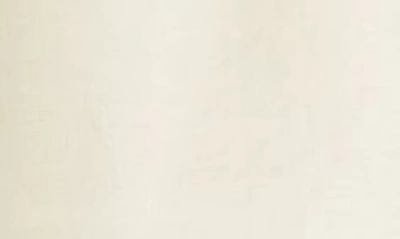Max Mara Piadena Cotton Sateen Shorts In Ivory