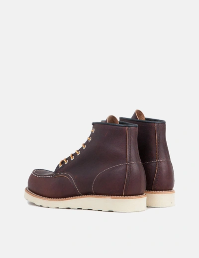 Shop Red Wing 6" Moc Toe Work Boots (8138) In Brown