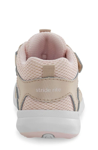 Shop Stride Rite Kids' Rover Hook & Loop Sneaker In Champagne