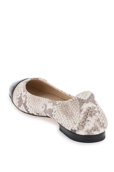 Shop Tod's Snake-printed Leather Ballet Flats In Multicolor