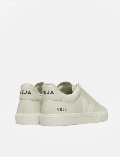 Shop Veja Women's  Campo Trainers (cf Leather) In White