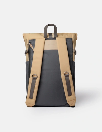 Shop Sandqvist Ilon Rolltop Backpack (recycled Poly) In Brown
