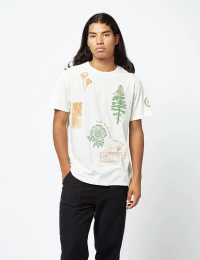 Shop Patagonia Pyrophytes Organic T-shirt In White
