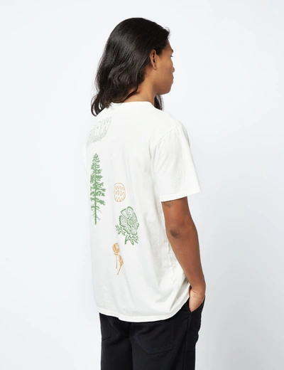 Shop Patagonia Pyrophytes Organic T-shirt In White