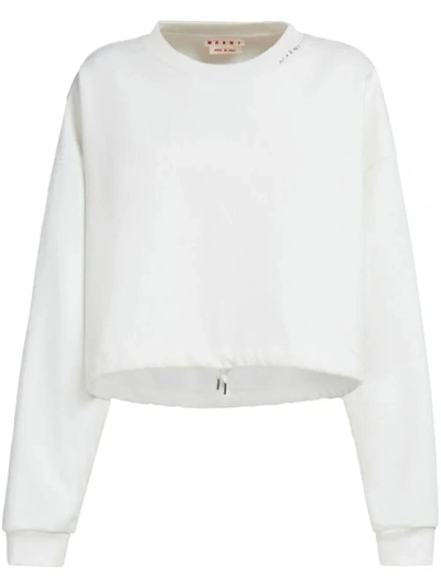 Shop Marni Sweatshirt Clothing In White