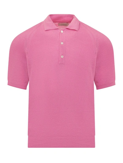 Shop Laneus English Polo Shirt In Pink