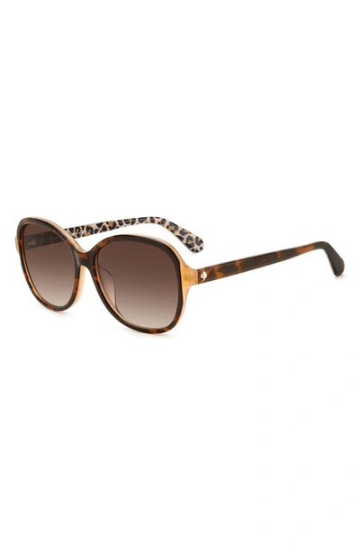 Shop Kate Spade 59mm Tamera Round Sunglasses In Havana/ Brown Gradient
